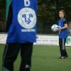 2013-minikamp