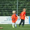 2013-minikamp