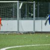 2013-minikamp