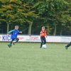 2013-minikamp