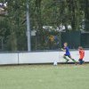 2013-minikamp