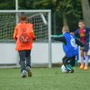 2013-minikamp