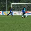 2013-minikamp